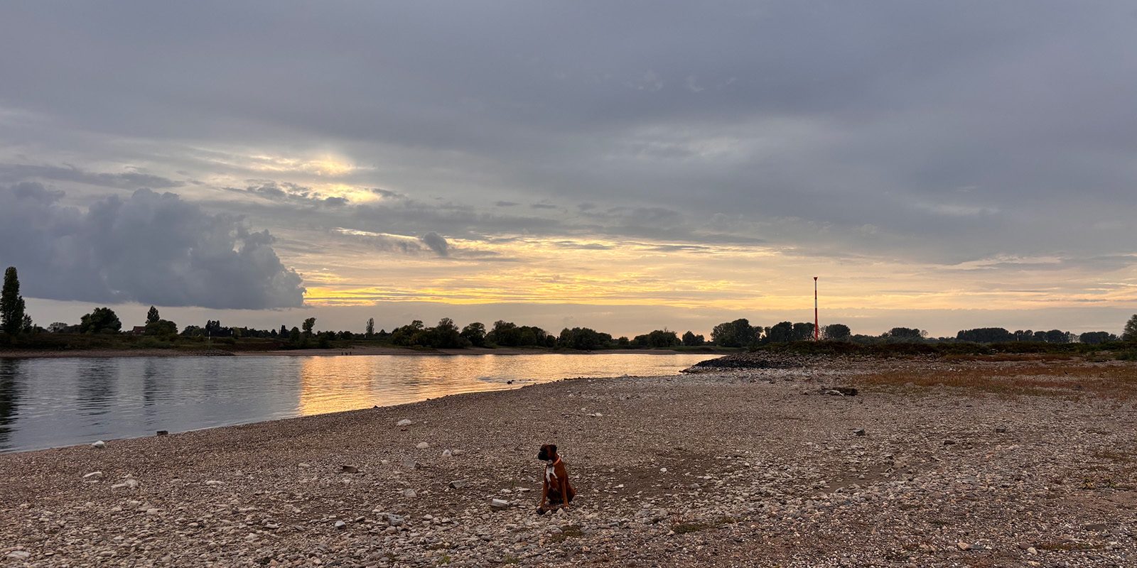 Niedrigwasser am Rhein mit freiliegendem Kiesufer