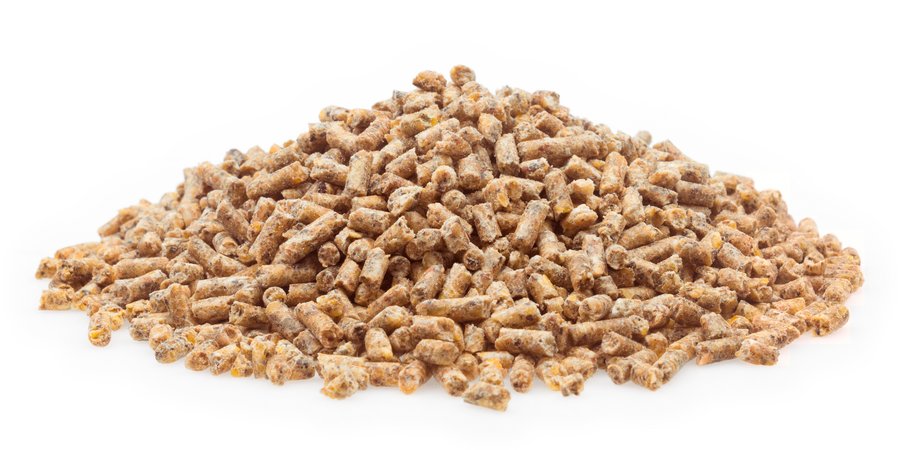 Kükenaufzucht Premium Pellet