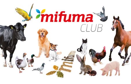 Mitglied werden im Mifuma Club