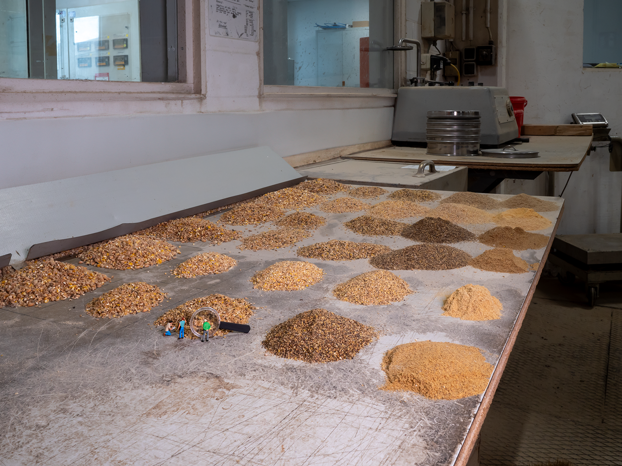 Litte Mifuma Qualitaetspruefung