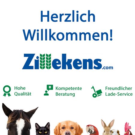 Logo der Fa. Zillekens