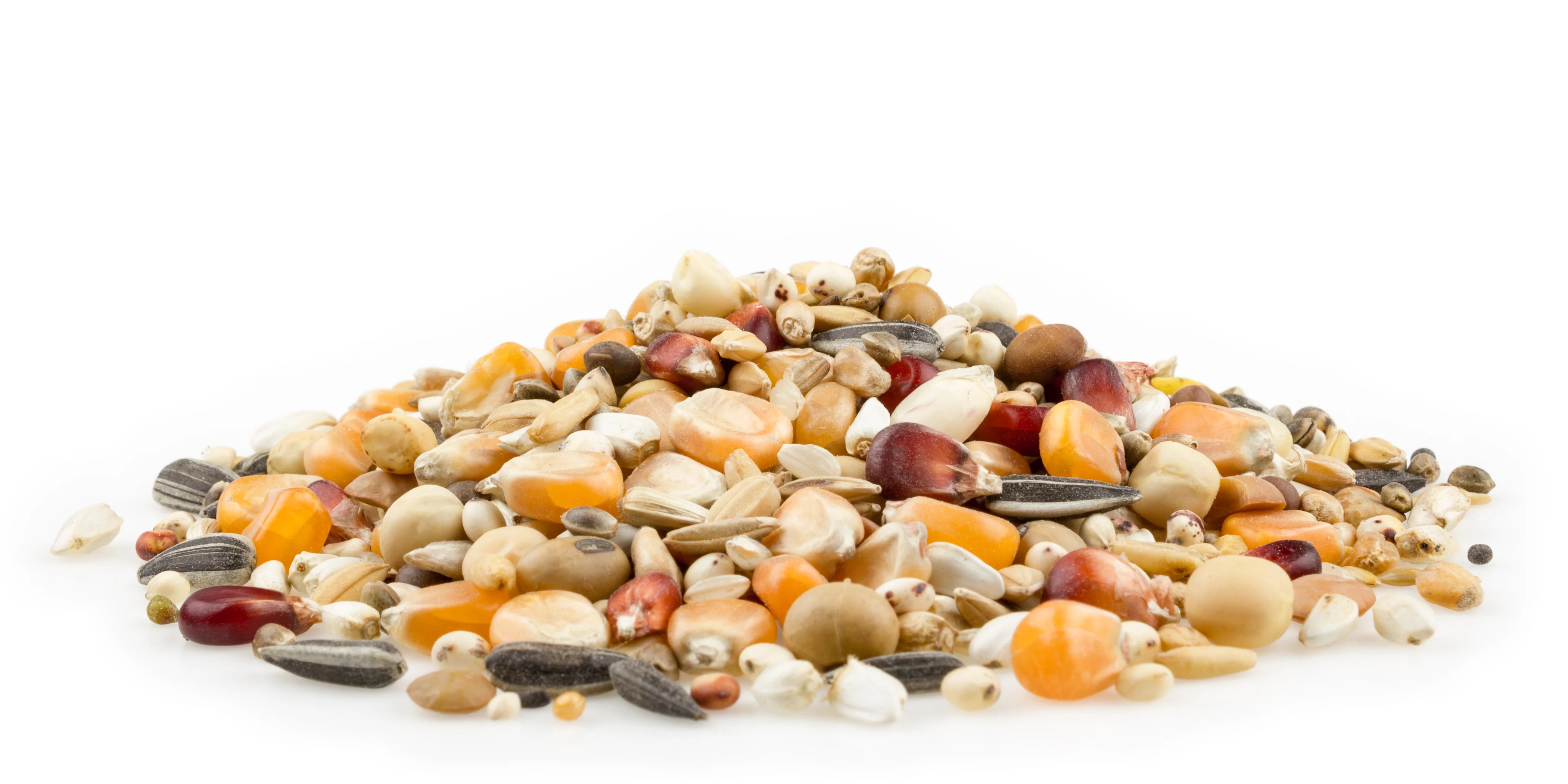 Taubenfutter Mifuma Grand-Prix